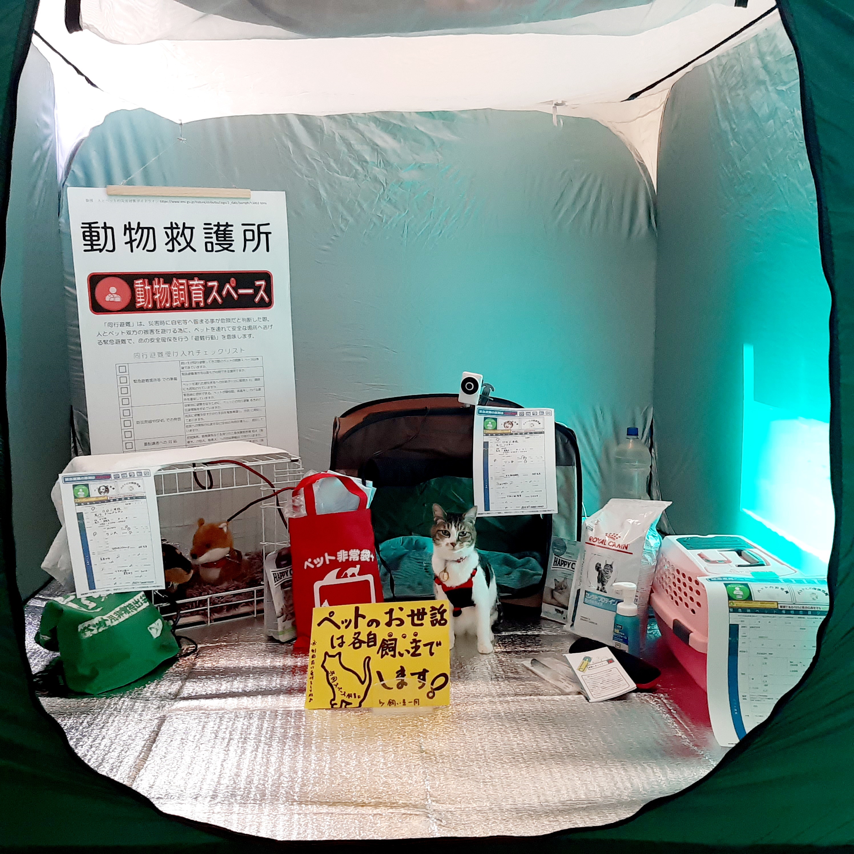 実習スライド写真