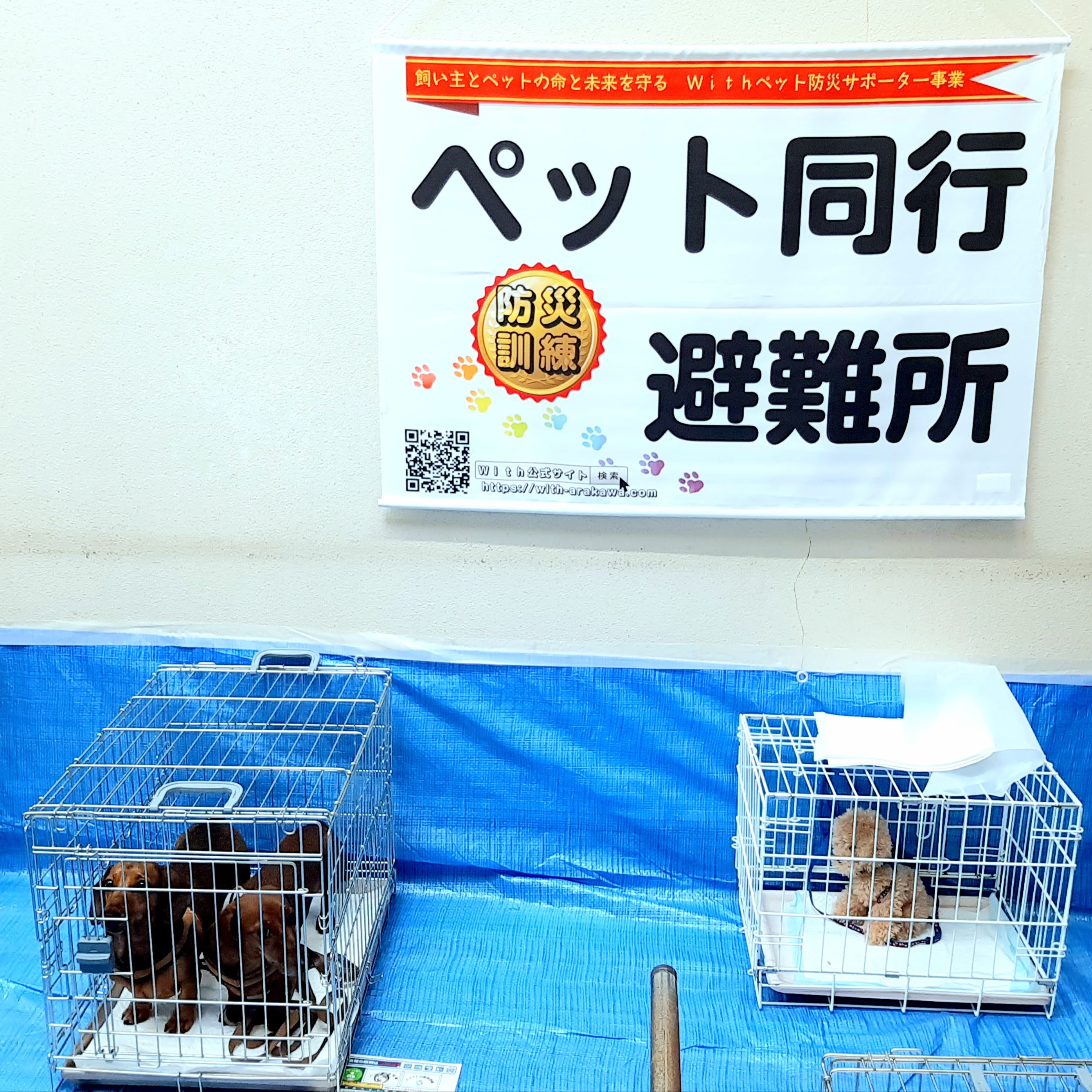 同行避難訓練の様子