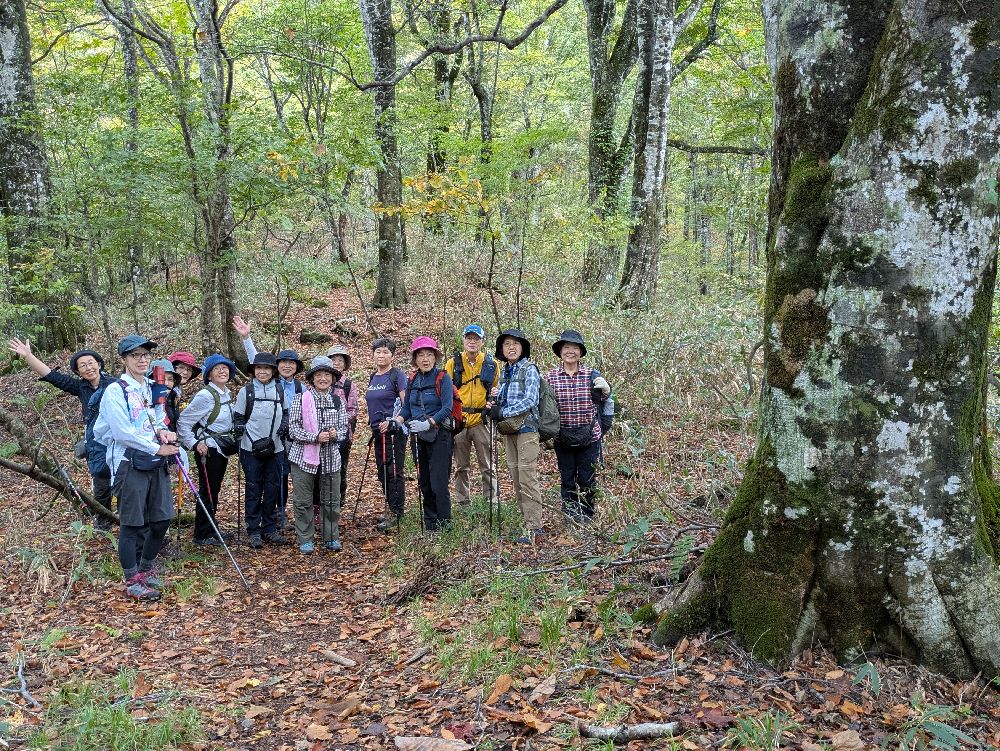 2025年10月15日　群馬県尼ヶ禿山ハイク　ブナ林の中を歩く
