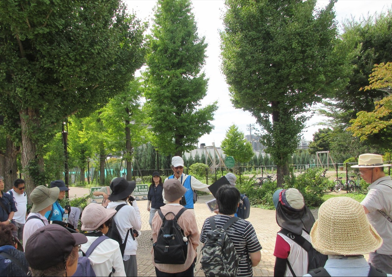 町あるきの様子